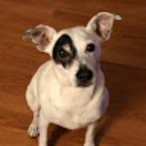 Meet your Posher, Xingxian - Picture 1 of 1